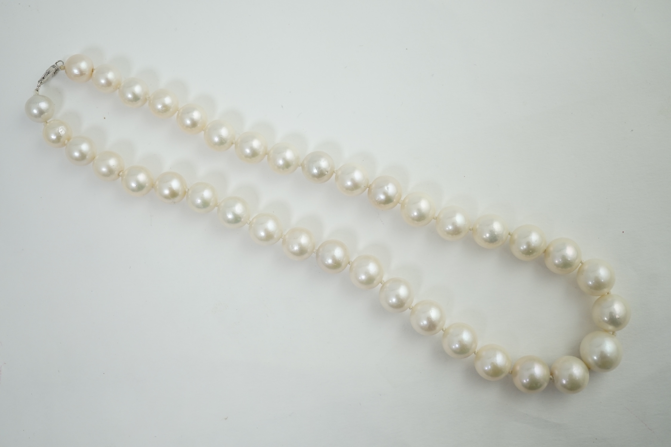 A single strand graduated South Sea pearl necklace, with platinum clasp